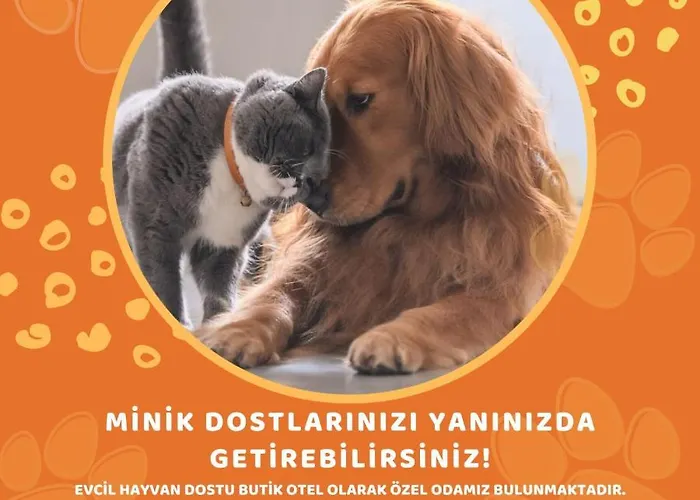 Vendome Hotel Eskisehir